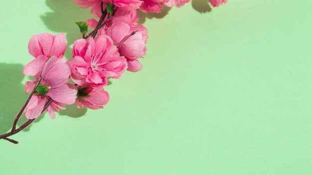 緑のテーブルの上のピンクの花枝