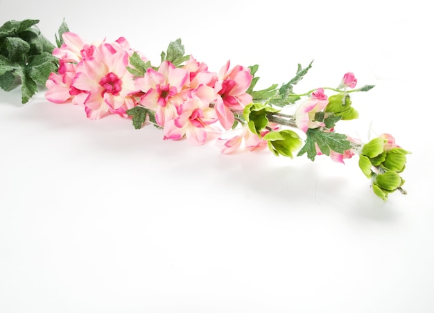 Pink flowers in a branch