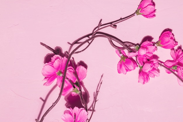 Pink flowers in a branch