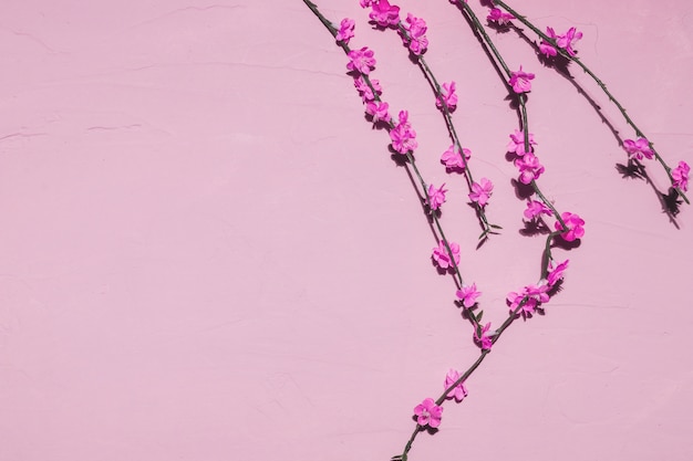 Free photo pink flowers in a branch