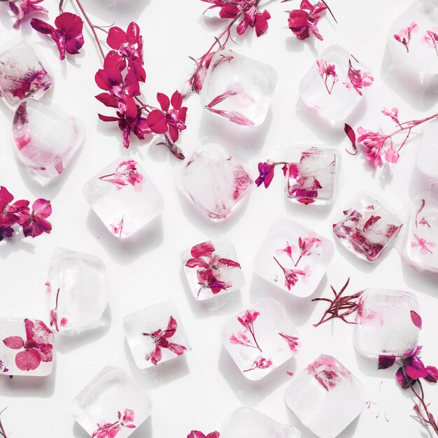 氷の立方体のピンクの花