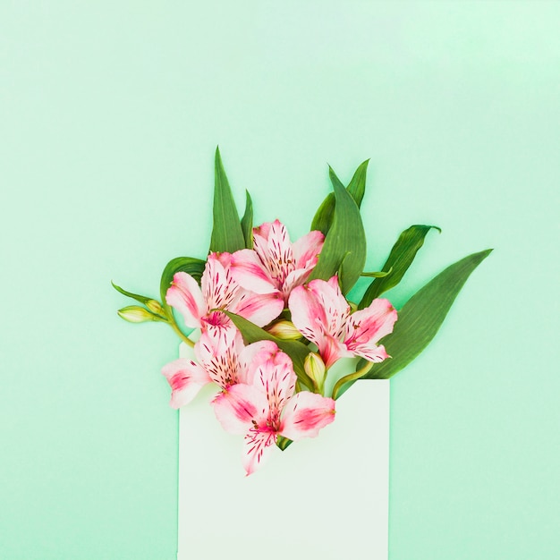 Pink flowers in envelope on table