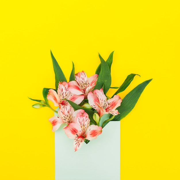 Pink flowers in envelope on yellow table