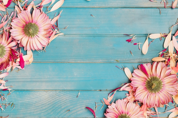 Pink flowers and petals on table