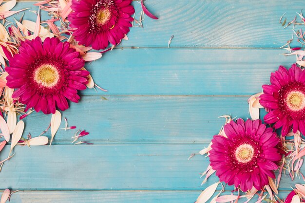 Pink flowers placed on petals