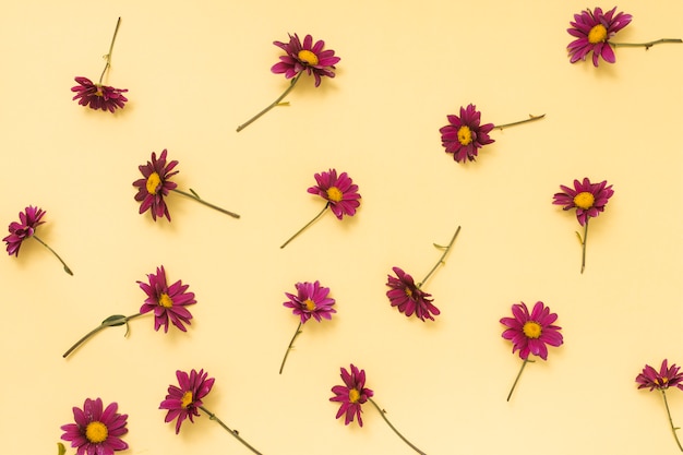 Free photo pink flowers scattered on table