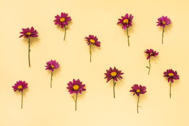 Pink flowers scattered on yellow table