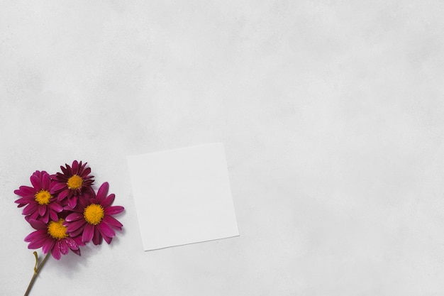 Pink flowers with blank paper on table