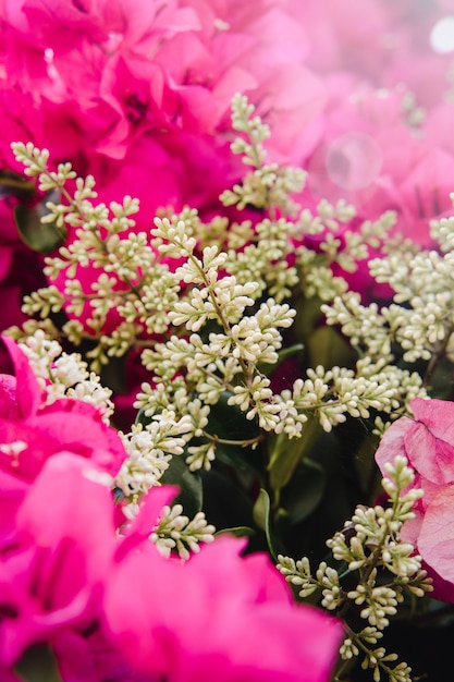 Pink flowers with green leaves