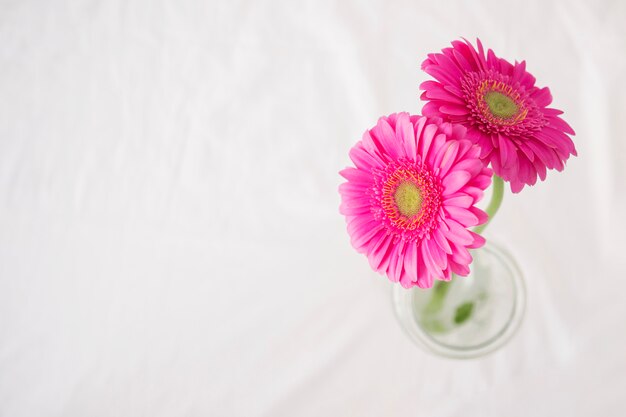 Pink flowers with green stems in vase