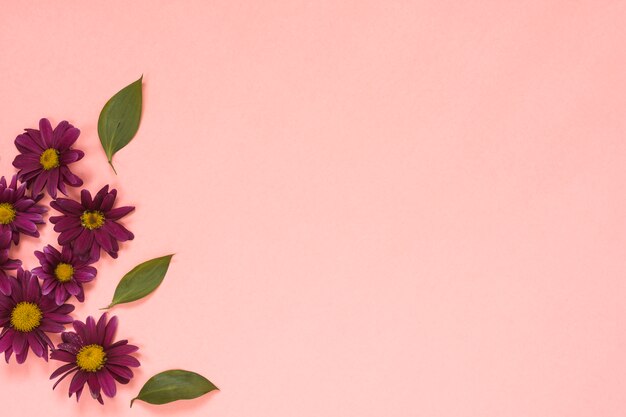 Pink flowers with leaves on table