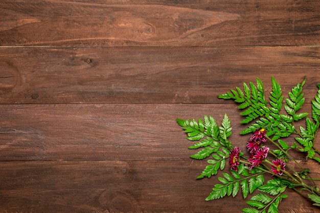 Pink flowers with leaves on wooden background