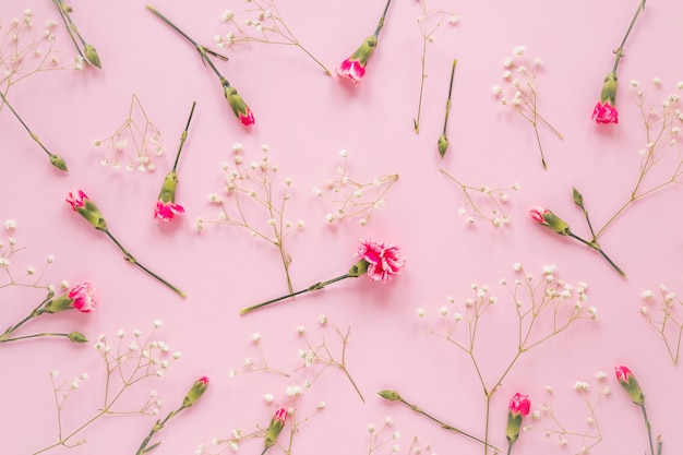 Pink flowers with plant branches on table