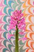 Free photo pink flowers with psychedelic painting