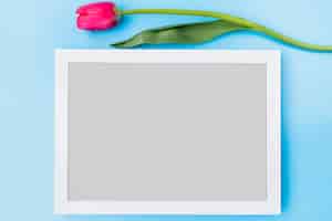 Бесплатное фото Розовый свежий цветок возле рамки