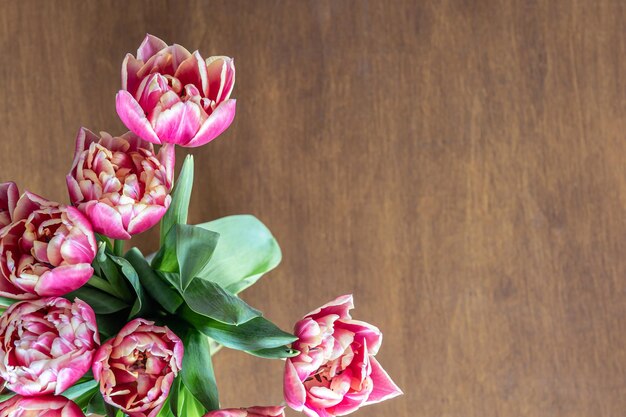 Pink fresh tulips on a wooden table top view