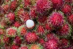 Free photo pink fruits with green hairs