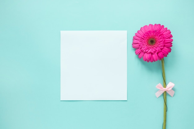 Pink gerbera flower with blank paper on table