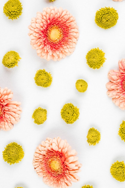 Pink gerbera and yellow flower on white background