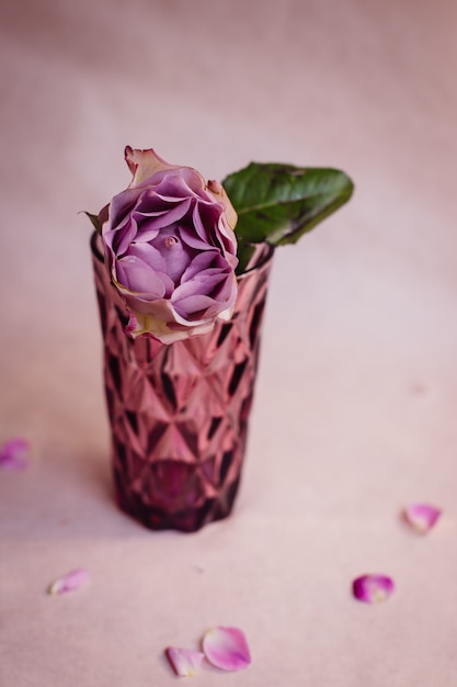 Free photo pink glass with violet hydrange and green leaf