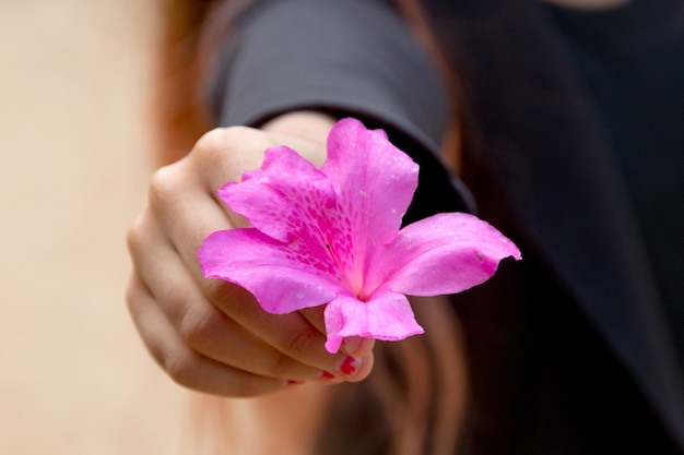 Pink hibiscus flower in a child's hand in rio de janeiro, brazil.