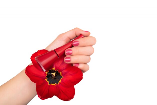 Pink nail design. Female hand with pink manicure holding red tulip.