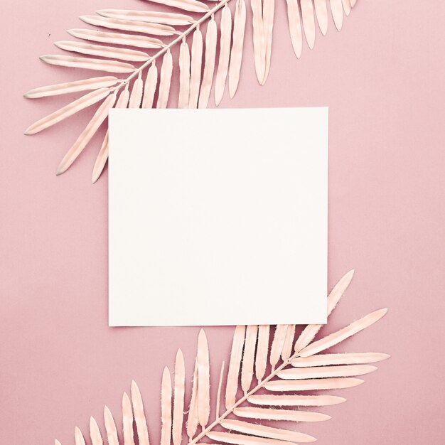 Pink palm leaves with blank frame on pink background
