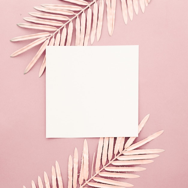 ピンクの背景に空白のフレームとピンクのヤシの葉