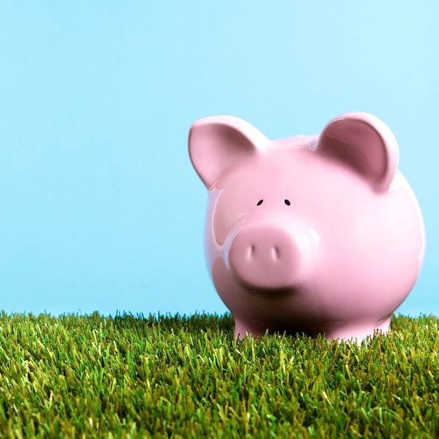 Free photo pink piggy bank grass blue sky square