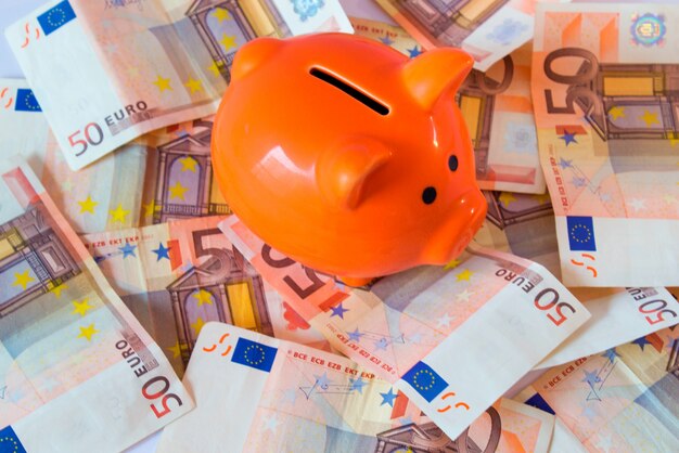 Free photo pink piggy bank on money, euros bills