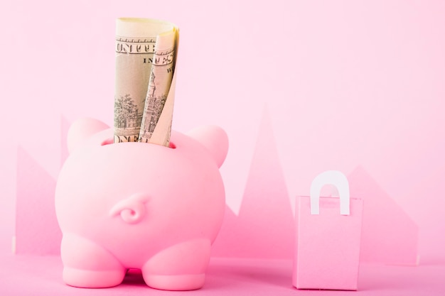 Pink piggy bank with money and paper bag