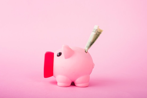 Free photo pink piggy bank with money