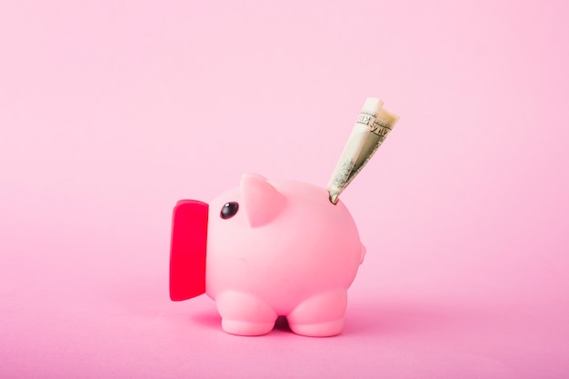 Pink piggy bank with money