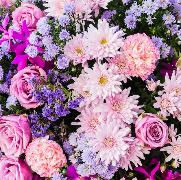 Розовые и фиолетовые цветы