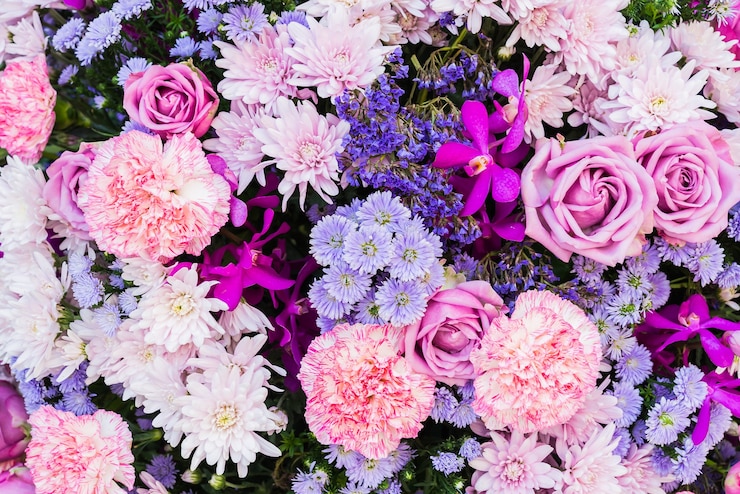 無料Photo ピンクと紫の花