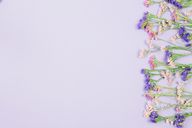 Pink and purple limonium flowers with copy space for writing the text against purple backdrop