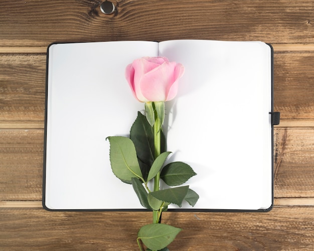 Pink rose on the blank diary over the wooden background