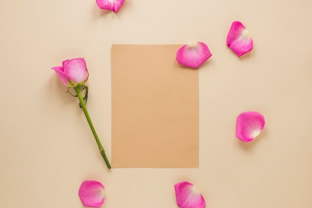 Pink rose flower with paper on table