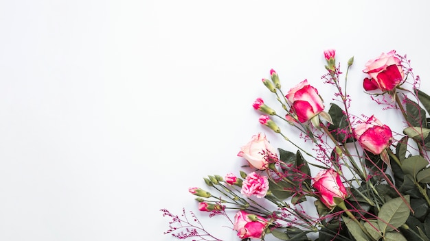 Pink rose flowers on light table