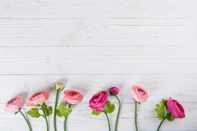 Pink rose flowers scattered on wooden table 