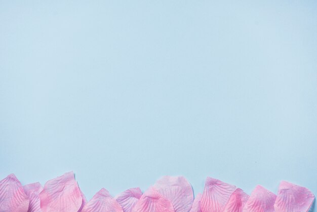 Pink rose petals scattered on table