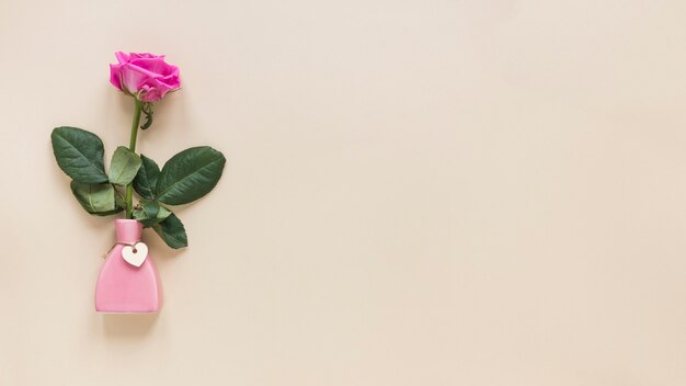 Pink rose in small vase on table