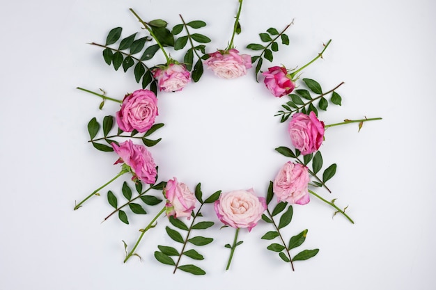 Pink roses arranged in circular frame on white background