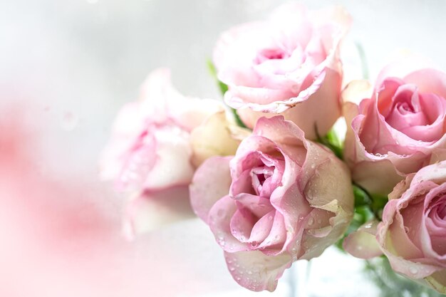 Pink roses bouquet with free space for text copy space
