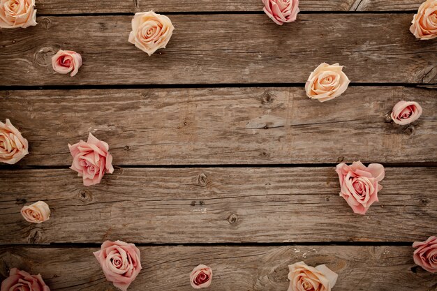 Pink roses on brown wooden background