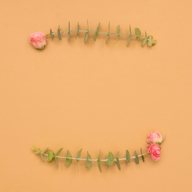 Pink roses with eucalyptus leaves twig over brown surface