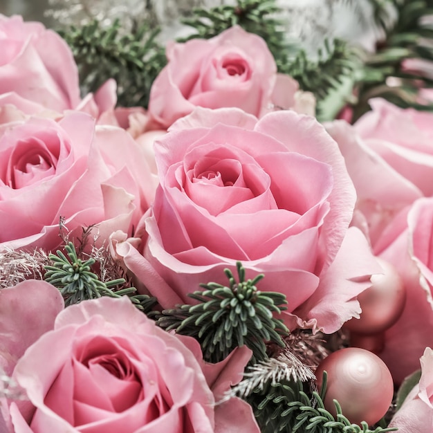 Pink roses with fir branches. macro flowers background for holiday brand design