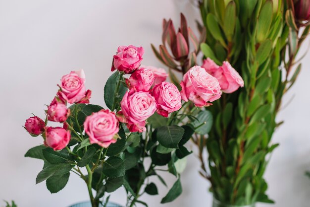 Pink roses with green stems