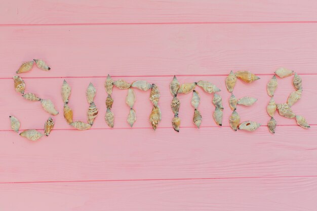여름 장식 조개와 핑크 표면
