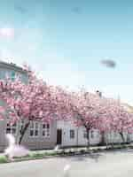 Free photo pink trees blooming in front of white houses